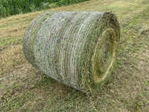 Baloți de calitate lucerna în agric. eco/schimb viței