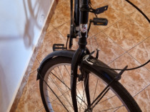 Bicicleta city dunarea