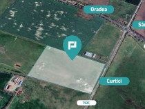 Teren 10,5 ha în comuna Șimand, jud. Arad