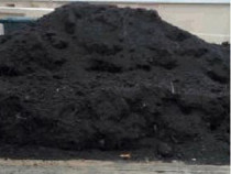 Pamant vegetal de padure negru, pamant pentru grădină, Bucuresti ilfov