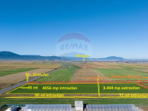 Teren comercial / industrial | 7,500mp Strada Zizinului |...