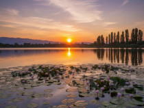 TEREN SILISTEA SNAGOVULUI 5000mp iesire LAC 30ml