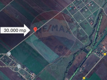 Teren 30.000 MP | Hălchiu | Jud. Brasov