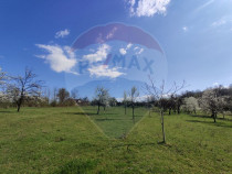 Teren intravilan pentru casă Cărbunari