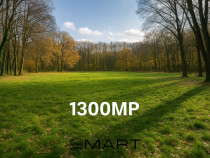Teren cu vad exceptional 1300mp zona Subarini