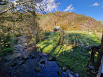 Cabana vacanta, teren 1000mp, acces direct la pârâu, zona
