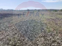 Teren 5,000mp Sat Tantava Strada Tufan