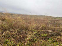 35euro/mp! Valea Lupului! Teren intravilan,28m l,oportunitat