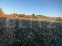 Casa bătrânească, 1500 mp teren, comuna Pomi