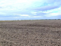 Teren extravilan, Comuna Valcele, Jud calarasi