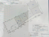 Teren Intravilan Parcelabil, Malu Mare, oportunitate de inve