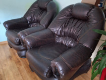 Fotolii piele ecologică