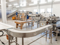 BUSINESS DE VANZARE plantatiie de afin din Romania S= 27....