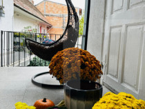 Apartament 2 camere, 65 mp, zona Ultracentral