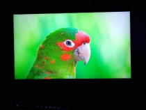 Acer Predator 27" 165hz IPS WQHD