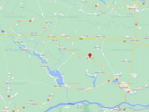 12 Ha Teren Agricol Vlad Tepes CL