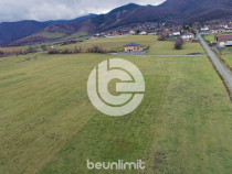 Teren intravilan &icirc;n Tocile - 49 euro/mp - 4354 m&sup2; - 2 fron