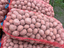 Cartofi Sāmântā Rosu