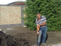 Irigatii gazon, Pomi fructigeri, Gazonat