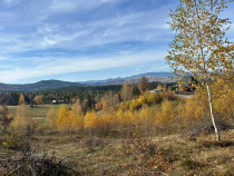 Teren in Călățele Padure 4488mp