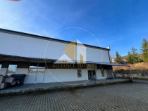 Spațiu industrial cu utilizare mixtă(producție ,depozit,