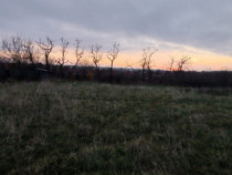 TEREN Extravilan - Ghercesti- suprafata 4760 MP