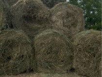 Baloți - diferite tipuri