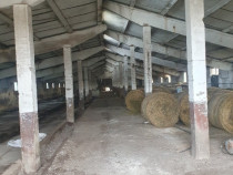 GRAJD (Complex) fost CAP Mihesu De Campie, Mures