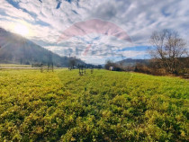 COMISION 0% Teren intravilan de vanzare in Barsana (26 ARI)