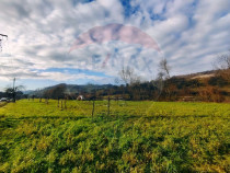 COMISION 0% Teren intravilan de vanzare in Barsana (26 ARI)