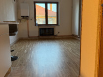 Studio la poalele Cetatii Devei