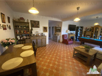 Vila spatioasa cu 3 apartamente in Fundeni Dobroiesti