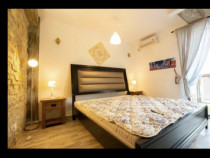 Brancoveanu dumbraveni vila studio dubla