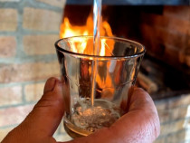 Palinca si tuica de prune