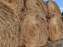 Baloți rulade an 2025