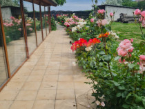 Casuta de vanzare, 149 mp utili, teren 1700 mp, Targoviste-z