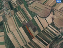 Teren extravilan Zorile Giurgiu 5000mp