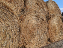V&acirc;nd baloți de paie tip ruladă