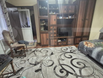 Casa 4 dormitoare, 190 mp, 1306 mp teren, zona Careiului