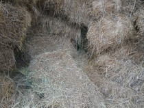 V&acirc;nd, baloti lucernă și f&acirc;n