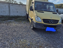 Mercedes Sprinter 8 locuri