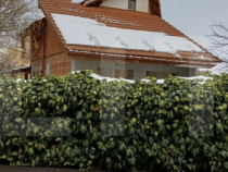 Spatiu de vanzare, 150 mp, zona Complexul Studentesc