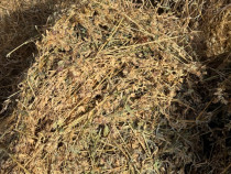 V&acirc;nd baloți lucernă