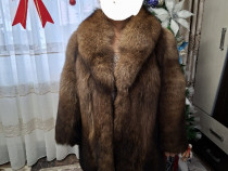 Haine dama vulpe polara si nutre