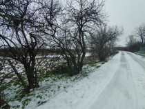 Teren 640 mp, Mischii, front 45,78 m