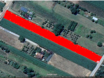 Teren intravilan 4000m2 - Cazasu, Braila
