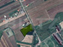 Teren intravilan de vanzare, 7020 mp, in Decebal