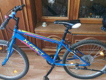 Bicicletă mountainbike 24 inch pentru copii X Fact Joker blu