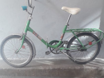 grow up Chromatic neighbor Bicicletele Pegas - Lajumate.ro