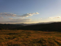 Teren in Berislavesti 3000mp
